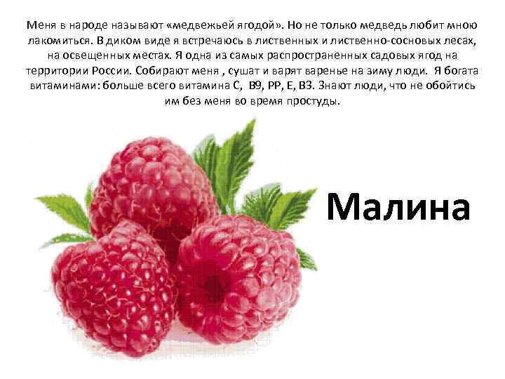 Меня в народе называют «медвежьей ягодой» . Но не только медведь любит мною лакомиться.