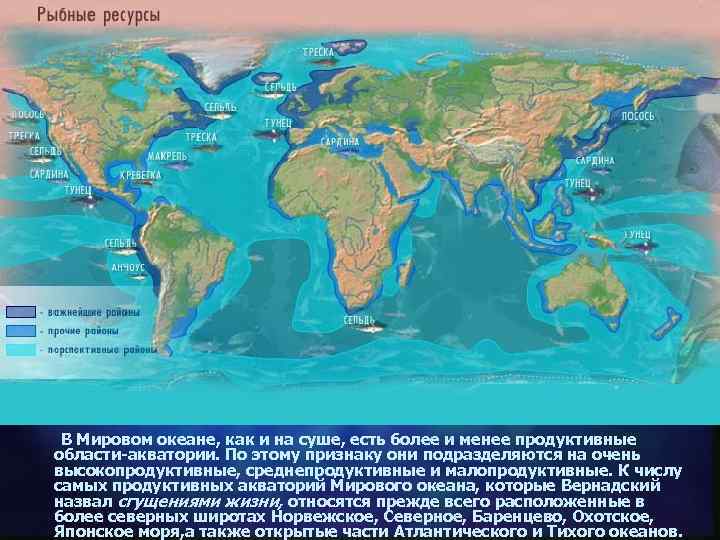 В Мировом океане, как и на суше, есть более и менее продуктивные области-акватории. По