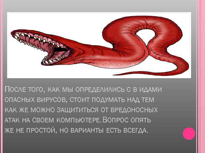 ПОСЛЕ ТОГО, КАК МЫ ОПРЕДЕЛИЛИСЬ С В ИДАМИ ОПАСНЫХ ВИРУСОВ, СТОИТ ПОДУМАТЬ НАД ТЕМ