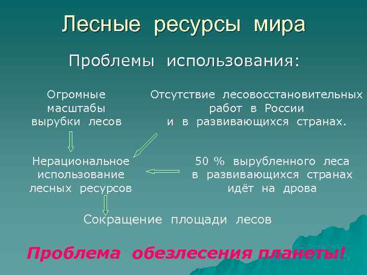 Характеристика лесных ресурсов