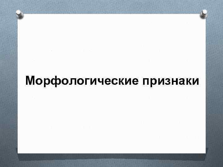 Морфологические признаки 