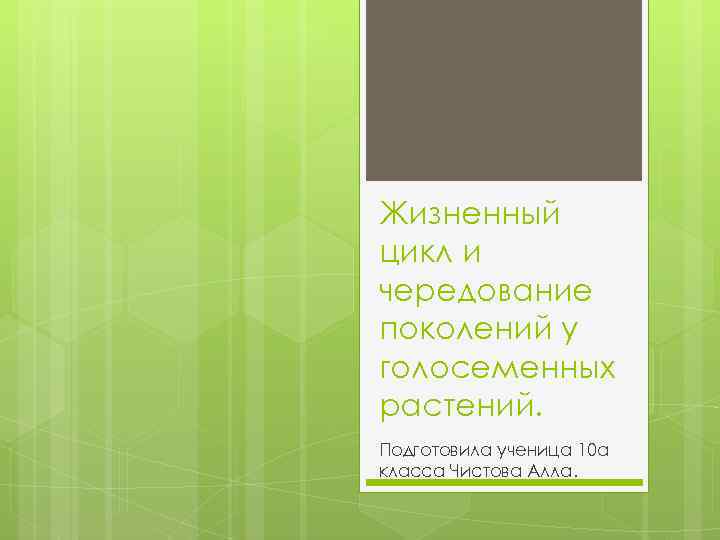 Жизненный цикл и чередование поколений у голосеменных растений. Подготовила ученица 10 а класса Чистова