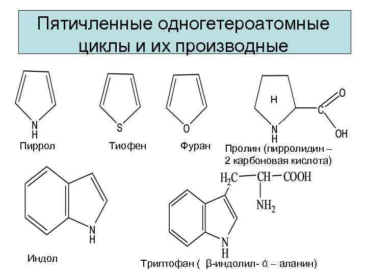 Пятичленные одногетероатомные циклы и их производные Н Пиррол Индол Тиофен Фуран Пролин (пирролидин –