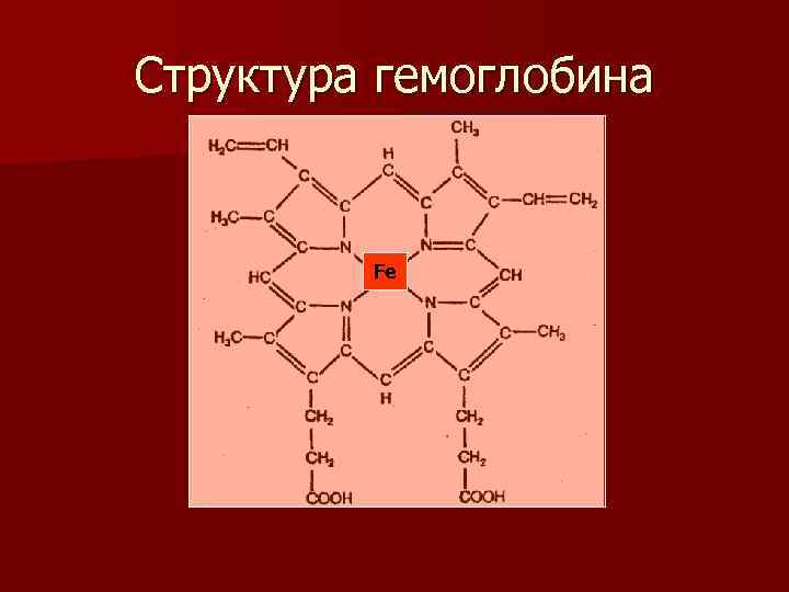 Структура гемоглобина Fe 