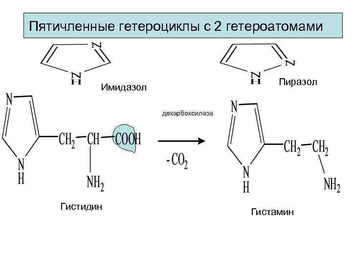 Пятичленные гетероциклы с 2 гетероатомами Пиразол Имидазол декарбоксилаза Гистидин Гистамин 