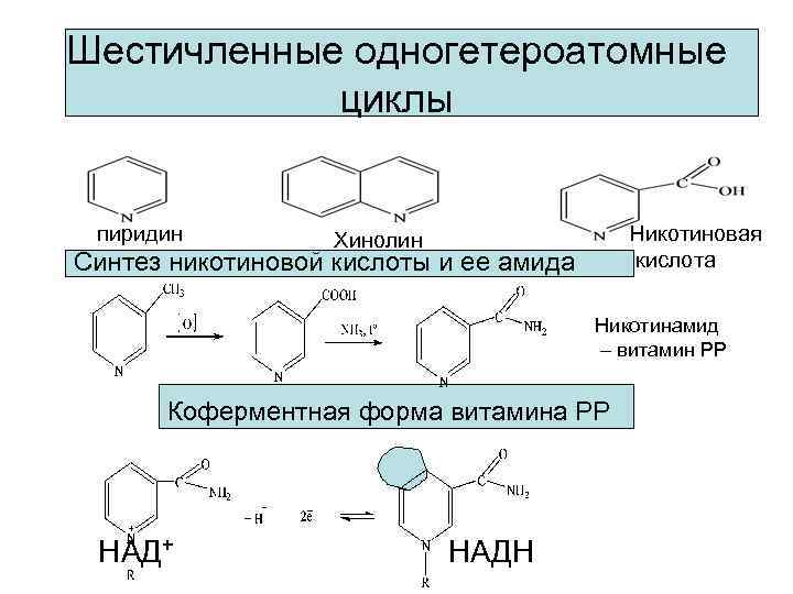 Шестичленные одногетероатомные циклы пиридин Никотиновая кислота Хинолин Синтез никотиновой кислоты и ее амида Никотинамид