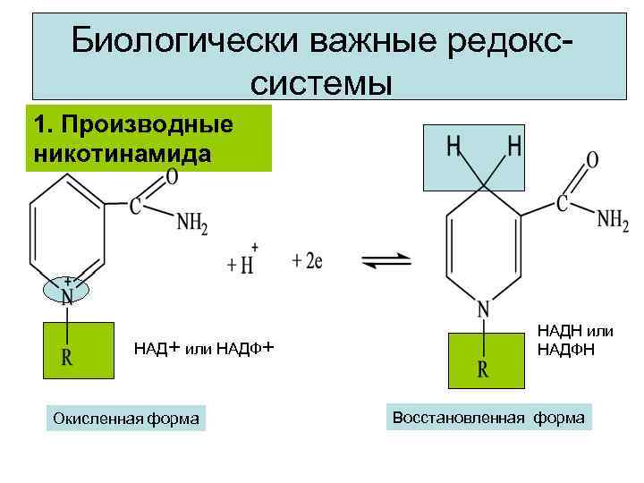 Биологически важные редокссистемы 1. Производные никотинамида НАД+ или НАДФ+ Окисленная форма НАДН или НАДФН