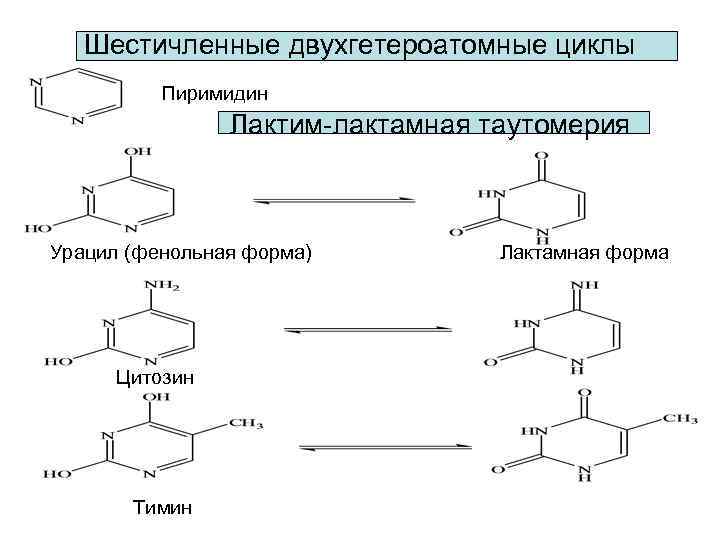 Шестичленные двухгетероатомные циклы Пиримидин Лактим-лактамная таутомерия Урацил (фенольная форма) Цитозин Тимин Лактамная форма 