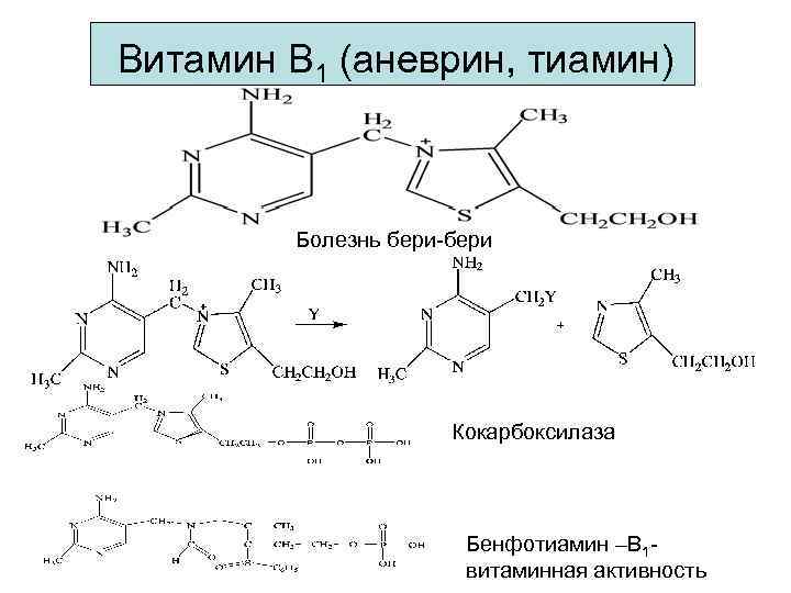 Витамин В 1 (аневрин, тиамин) Болезнь бери-бери Кокарбоксилаза Бенфотиамин –В 1 витаминная активность 