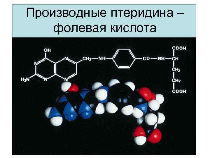 Производные птеридина – фолевая кислота 