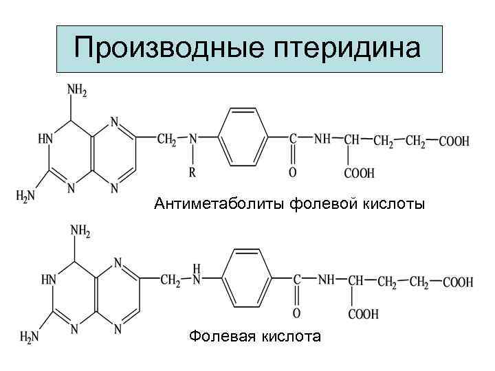 Производные птеридина Антиметаболиты фолевой кислоты Фолевая кислота 