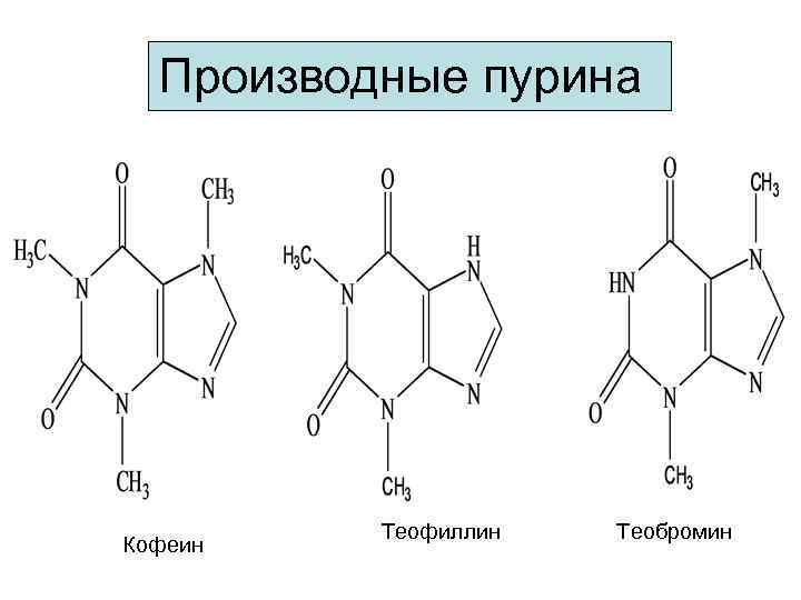 Производные пурина Кофеин Теофиллин Теобромин 