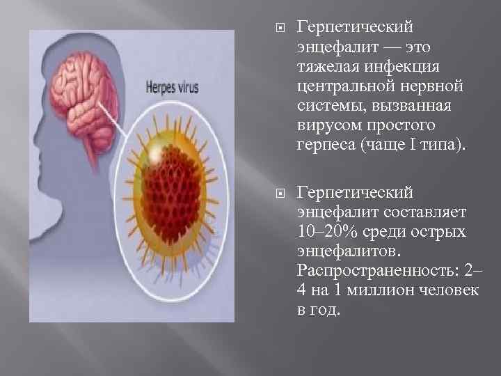  Герпетический энцефалит — это тяжелая инфекция центральной нервной системы, вызванная вирусом простого герпеса