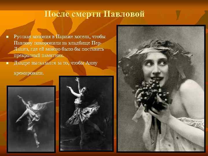 После смерти Павловой n n Русская колония в Париже хотела, чтобы Павлову похоронили на