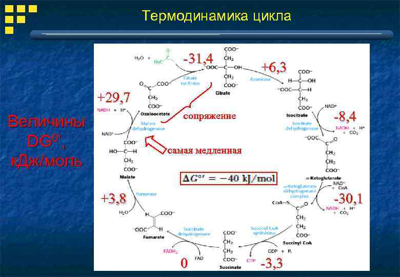 Термодинамика цикла -31, 4 +6, 3 +29, 7 -8, 4 сопряжение Величины DG 0’,