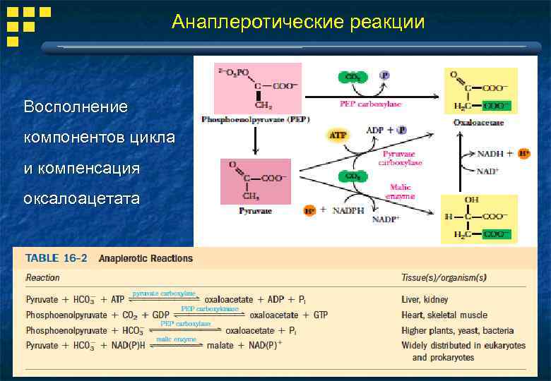 Реакции цикла