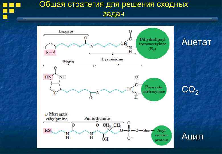 Общая стратегия для решения сходных задач Ацетат СО 2 Ацил 