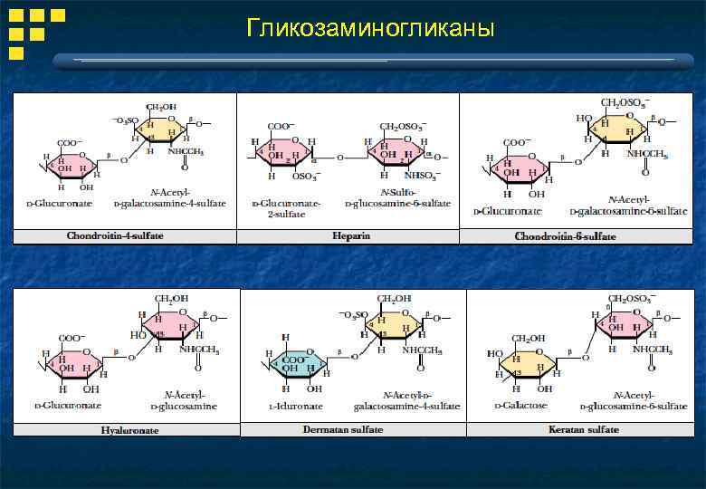 Гликозаминогликаны 