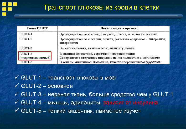 Транспорт глюкозы. Номенклатура Глюкозы. Транспорт Глюкозы из крови в клетки. Систематическая номенклатура Глюкозы. Глюкоза по номенклатуре.