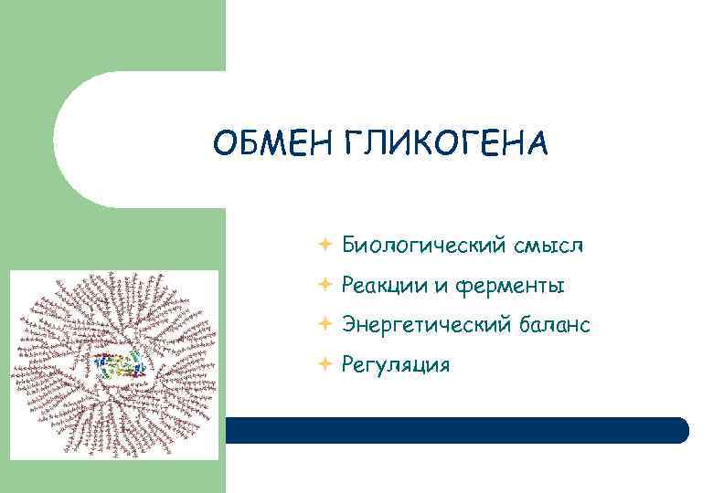 ОБМЕН ГЛИКОГЕНА Биологический смысл Реакции и ферменты Энергетический баланс Регуляция 