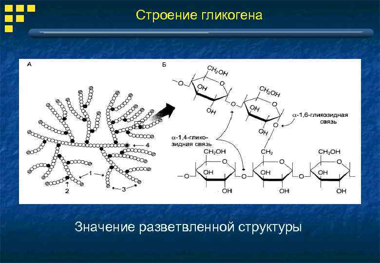 Гликоген имеет четвертичную структуру