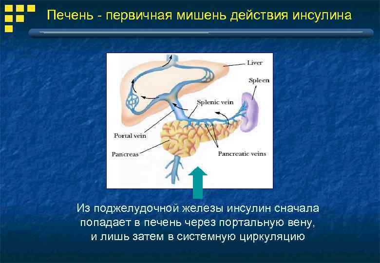 Инсулин железы