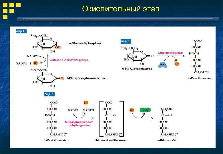 Окислительный этап 