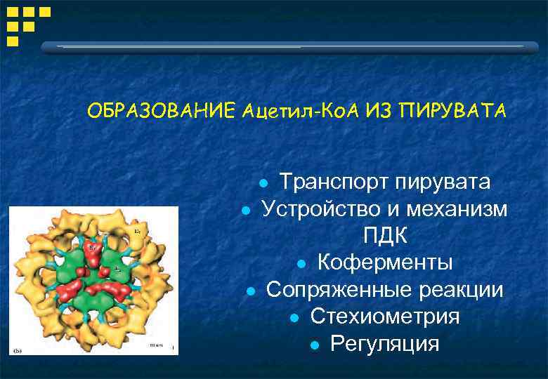 ОБРАЗОВАНИЕ Ацетил-Ко. А ИЗ ПИРУВАТА Транспорт пирувата l Устройство и механизм ПДК l Коферменты