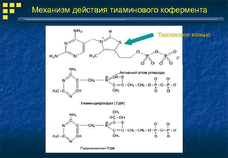 Механизм действия тиаминового кофермента Тиазоловое кольцо 