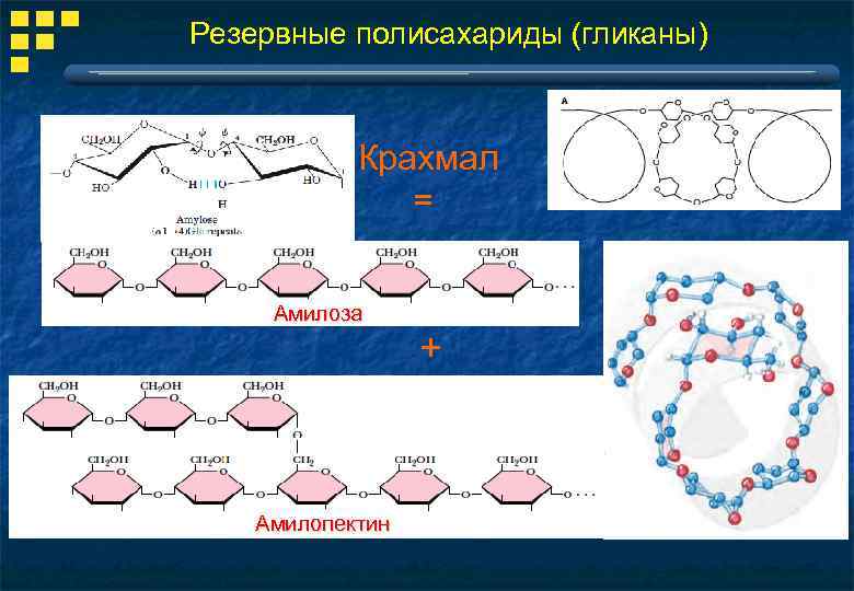 Полисахариды крахмал презентация