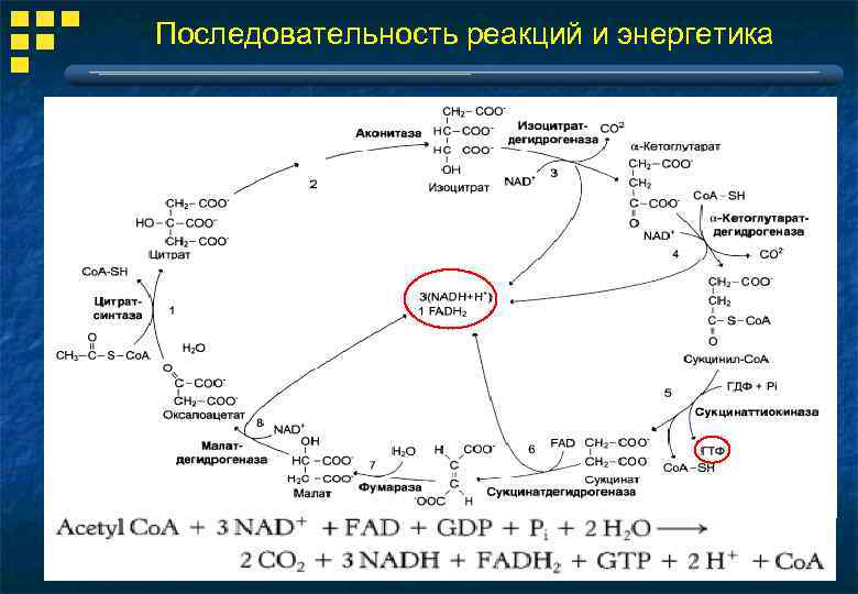 Последовательность реакций и энергетика 