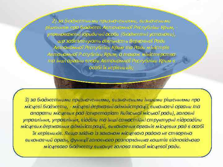 2) за бюджетними призначеннями, визначеними рішенням про бюджет Автономної Республіки Крим, уповноважені юридичні особи