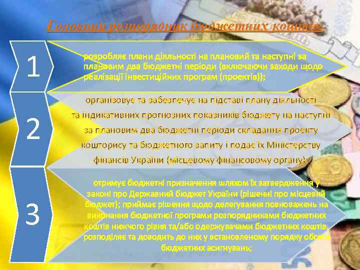 Головний розпорядник бюджетних коштів: 1 розробляє плани діяльності на плановий та наступні за плановим