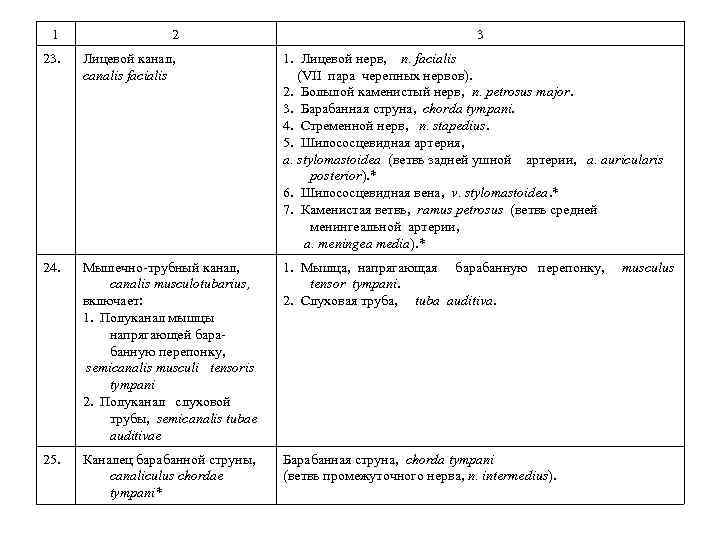 1 2 3 23. Лицевой канал, canalis facialis 1. Лицевой нерв, n. facialis (VII