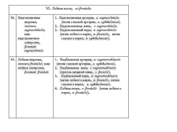 VI. Лобная кость, os frontale: 38. Надглазничная вырезка, incisura supraorbitalis; или надглазничное отверстие, foramen