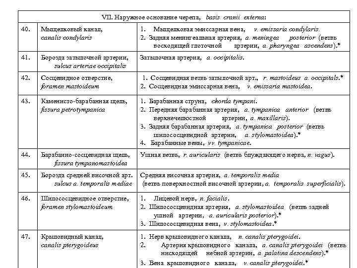 VII. Наружное основание черепа, basis cranii externa: 40. Мыщелковый канал, canalis condylaris 1. Мыщелковая