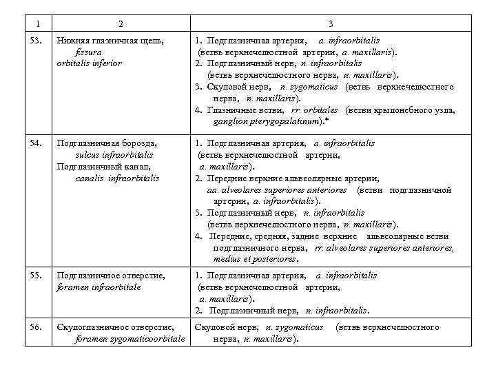 1 2 3 53. Нижняя глазничная щель, fissura orbitalis inferior 1. Подглазничная артерия, a.