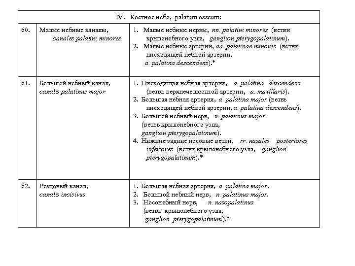 IV. Костное небо, palatum osseum: 60. Малые небные каналы, canales palatini minores 1. Малые