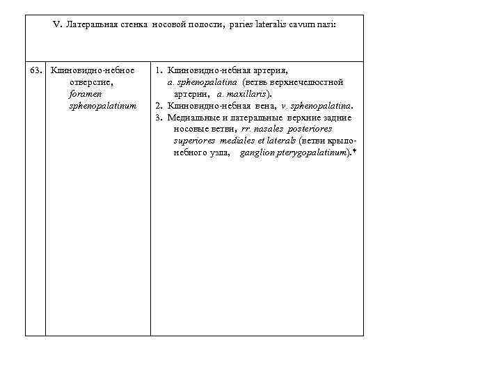 V. Латеральная стенка носовой полости, paries lateralis cavum nasi: 63. Клиновидно-небное отверстие, foramen sphenopalatinum