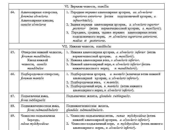 VI. Верхняя челюсть, maxilla: 64. Альвеолярные отверстия, foramina alveolaria. Альвеолярные каналы, canales alveolares 1.