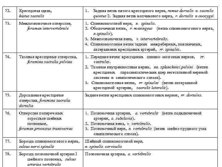 72. Крестцовая щель, hiatus sacralis 1. 73. Межпозвоночное отверстие, foramen intervertebrale 1. Спинномозговой нерв,