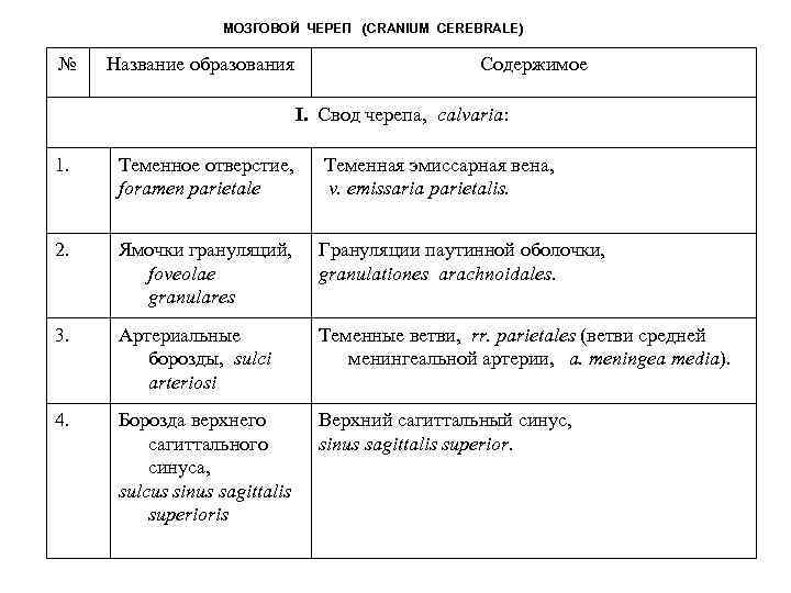 МОЗГОВОЙ ЧЕРЕП (CRANIUM CEREBRALE) № Название образования Содержимое I. Свод черепа, calvaria: 1. Теменное