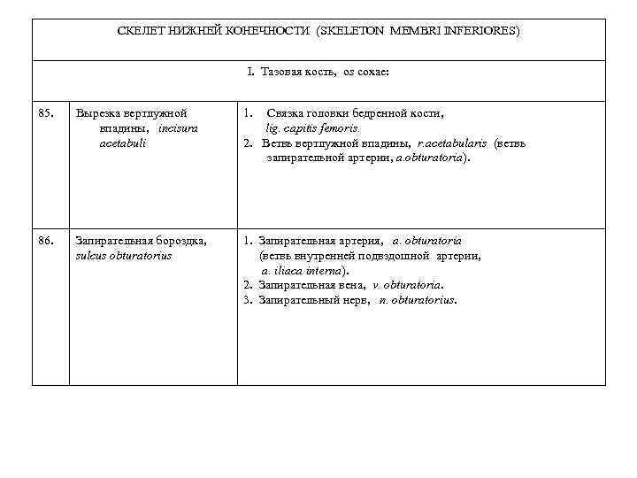 СКЕЛЕТ НИЖНЕЙ КОНЕЧНОСТИ (SKELETON MEMBRI INFERIORES) I. Тазовая кость, os coxae: 85. Вырезка вертлужной