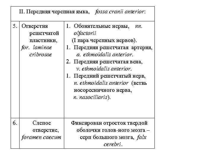 II. Передняя черепная ямка, fossa cranii anterior: 5. Отверстия решетчатой пластинки, for. laminae cribrosae