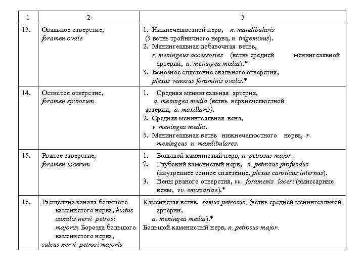 1 13. 2 Овальное отверстие, foramen ovale 3 1. Нижнечелюстной нерв, n. mandibularis (3