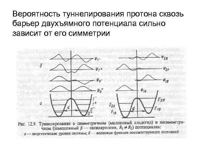 Вероятность туннелирования протона сквозь барьер двухъямного потенциала сильно зависит от его симметрии 