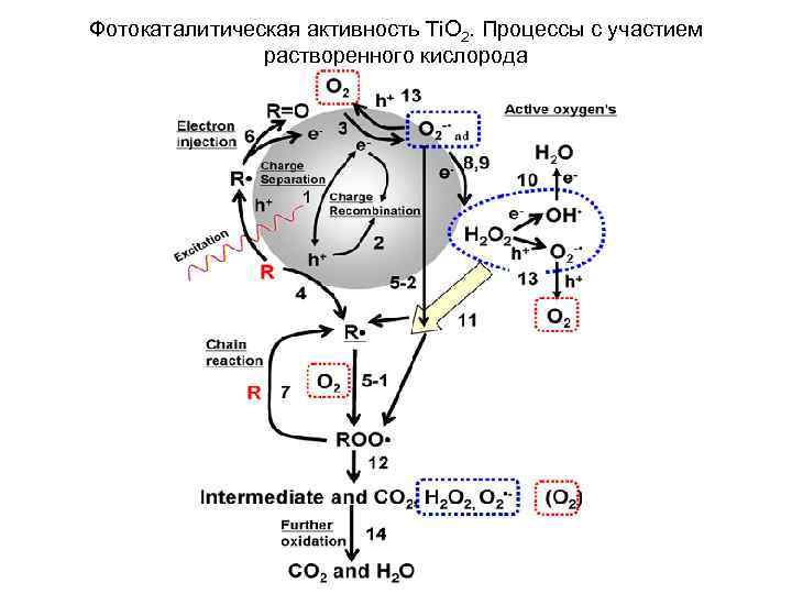 Фотокаталитическая активность Ti. O 2. Процессы с участием растворенного кислорода 