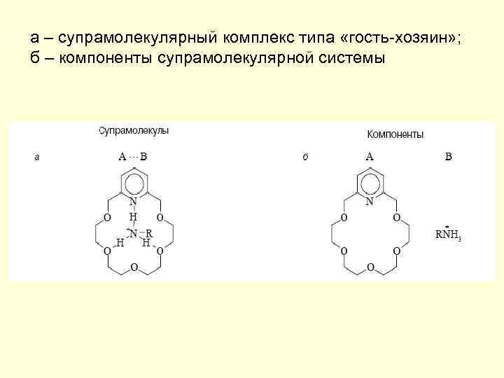 а – супрамолекулярный комплекс типа «гость-хозяин» ; б – компоненты супрамолекулярной системы 