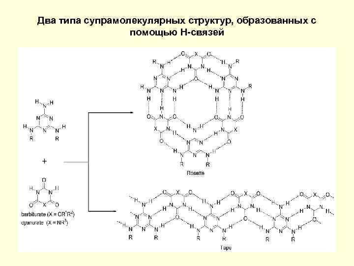 Два типа супрамолекулярных структур, образованных с помощью Н-связей 