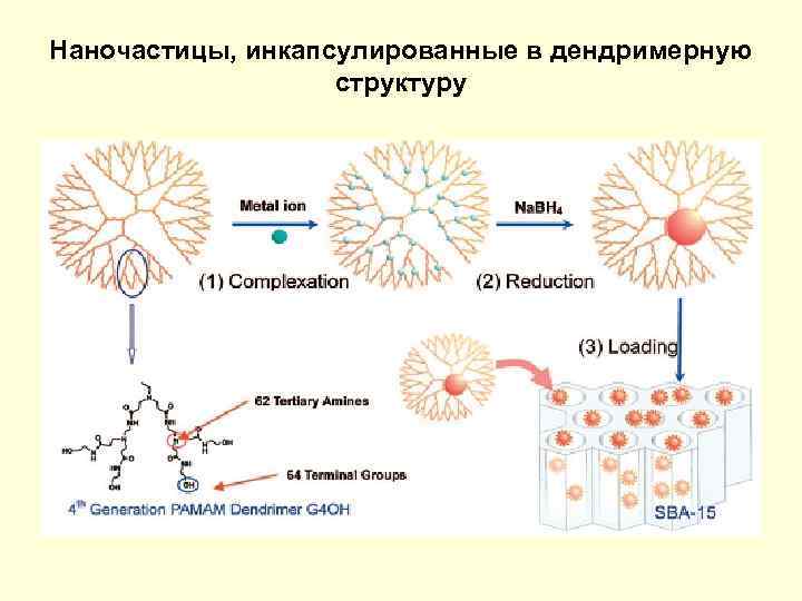 Наночастицы, инкапсулированные в дендримерную структуру 